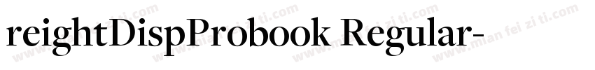 reightDispProbook Regular字体转换